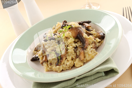 Image of Mushroom Risotto