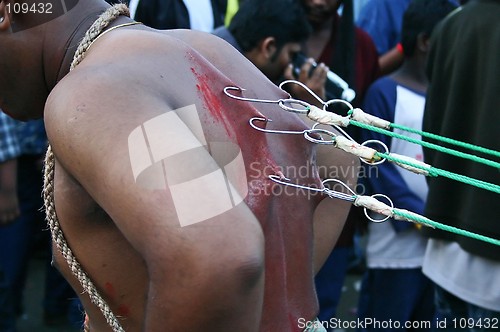 Image of Thaipusam Devotees Walk