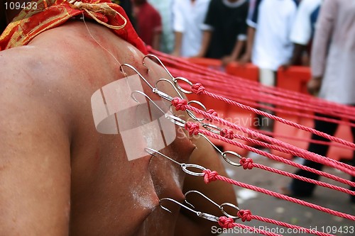 Image of Thaipusam Devotees Walk