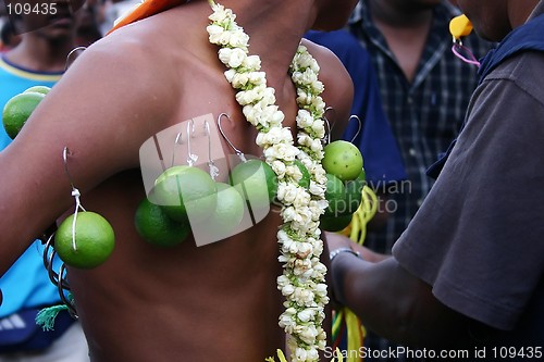 Image of Thaipusam Devotees Walk