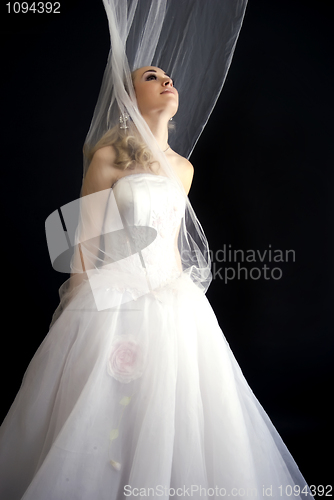 Image of  Beautiful bride      
