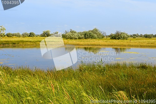 Image of Salt lake near the sea