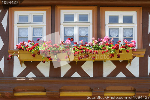 Image of Windows with flower boxes