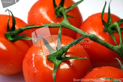 Image of Tomatoes