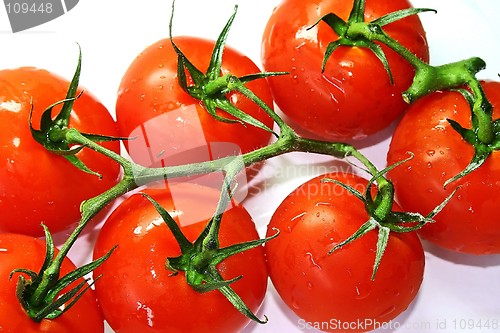 Image of Tomatoes