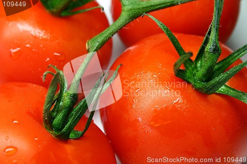 Image of Tomatoes