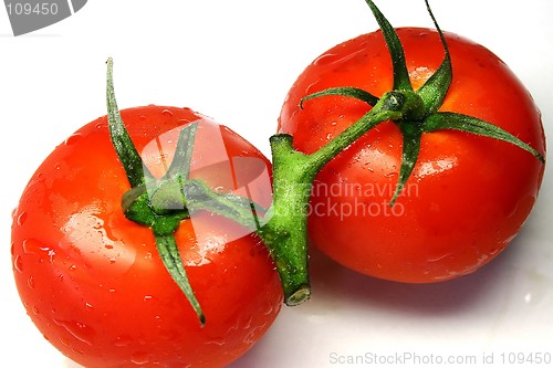 Image of Tomatoes