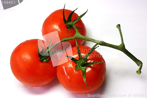 Image of Tomatoes