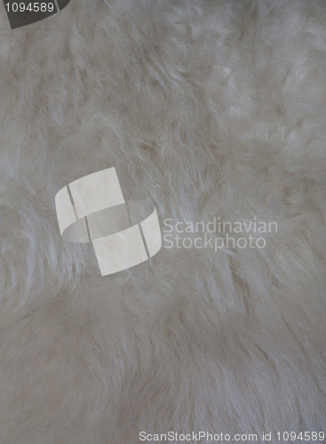 Image of White wool