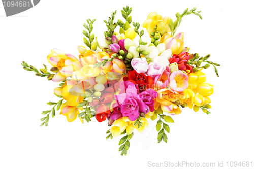 Image of lovely freesia