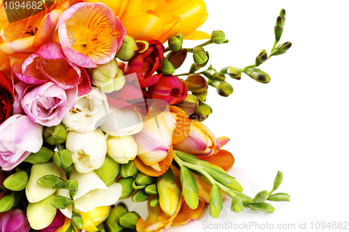 Image of lovely freesia