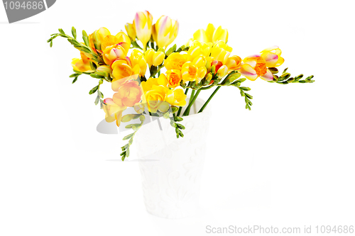 Image of lovely freesia