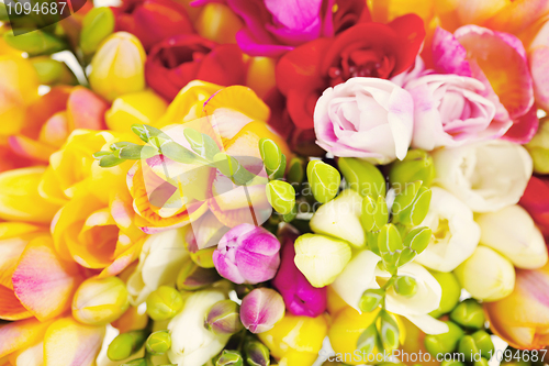 Image of lovely freesia flowers