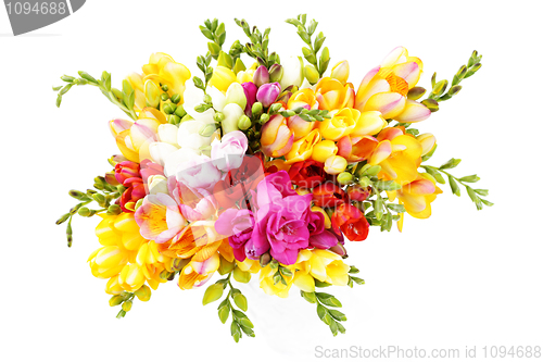 Image of lovely freesia