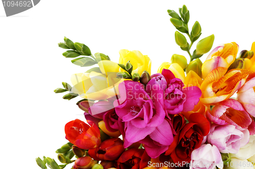 Image of lovely freesia