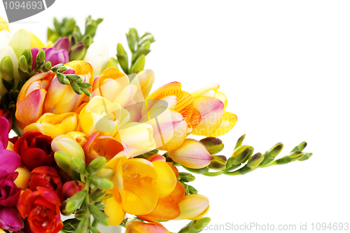 Image of lovely freesia