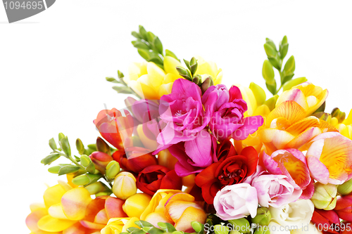 Image of lovely freesia