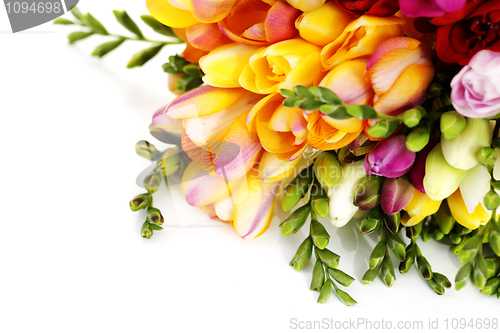 Image of lovely freesia