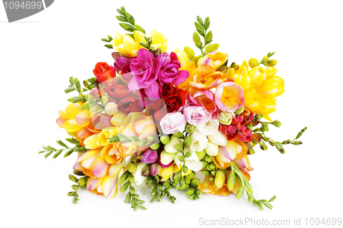 Image of lovely freesia