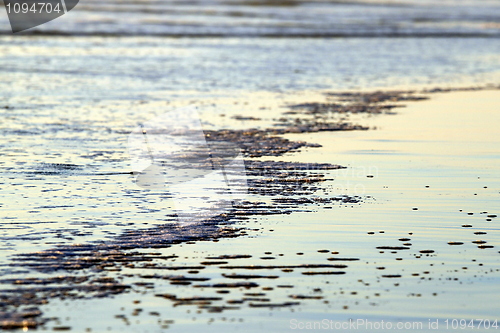 Image of Beach Water