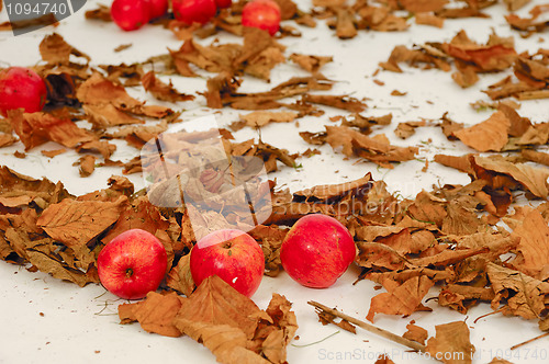 Image of Red apples
