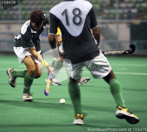 Image of Hockey In Action