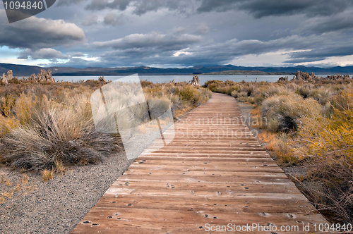 Image of Mono Lake