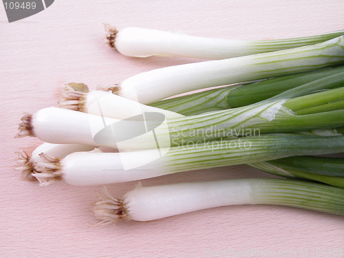Image of chive