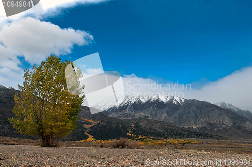 Image of snow clad