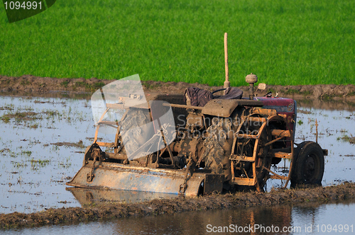 Image of Agriculture