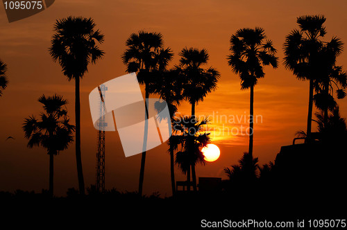 Image of Sunrise