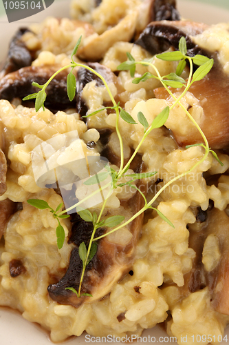 Image of Mushroom Risotto