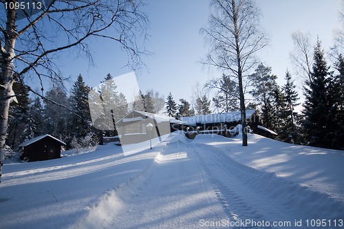 Image of winter landscape
