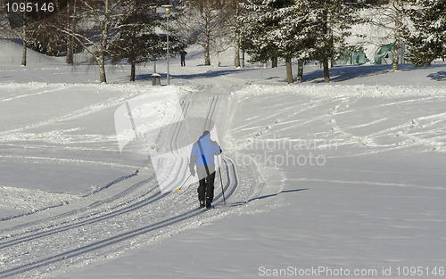 Image of Skiing