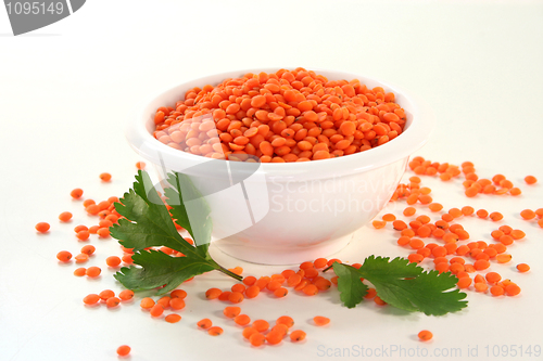 Image of Red lentils
