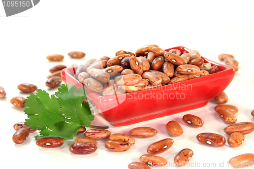 Image of Beans