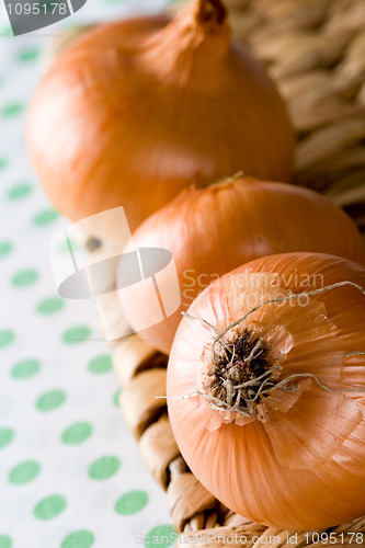 Image of ripe onions 