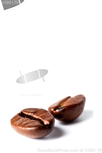 Image of coffee beans 