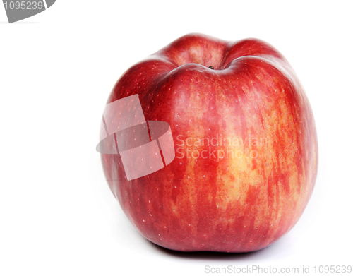 Image of red ripe apple