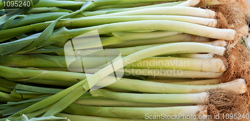 Image of green, fresh leeks