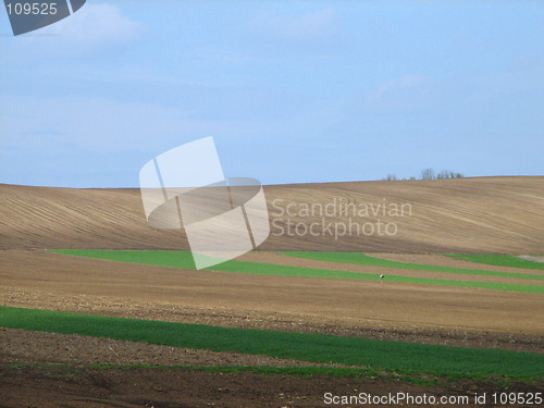 Image of fields