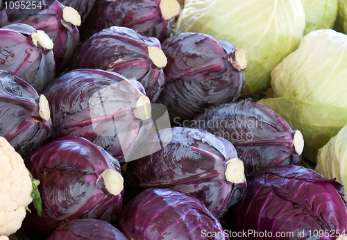 Image of Blue and white cabbage