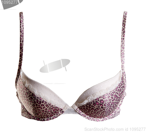 Image of Bra with leopard pattern