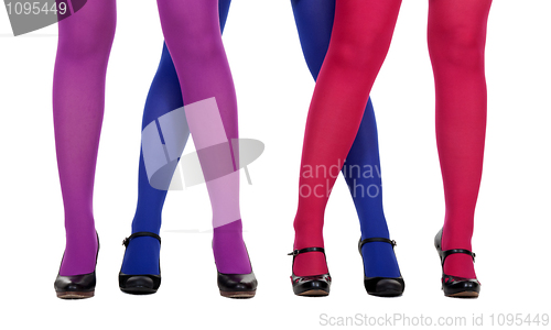 Image of female legs in pantyhose