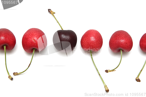 Image of Cherries