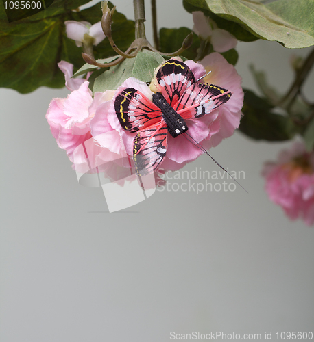 Image of Flower And Butterfly