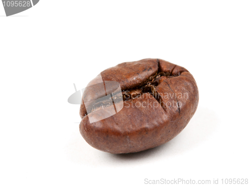 Image of coffee beans close-up