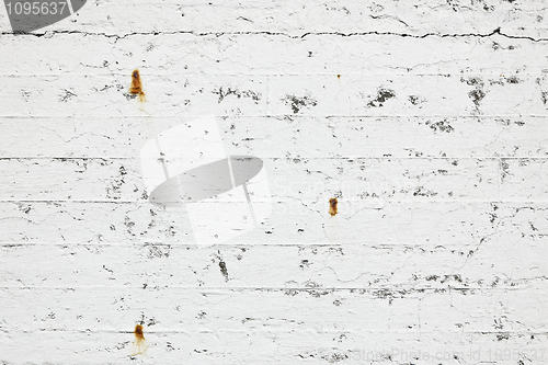 Image of Empty wall background