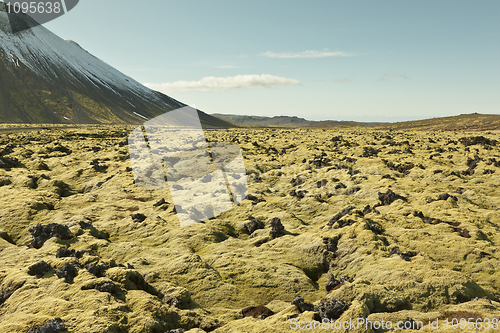 Image of Icelandic landscape