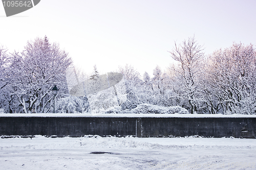 Image of Snow covered park in the wintertime